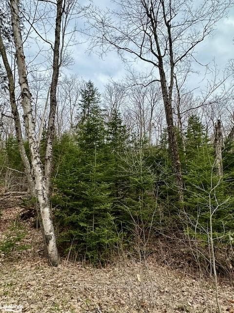 LOT 2 DWIGHT BEACH Road photo 11