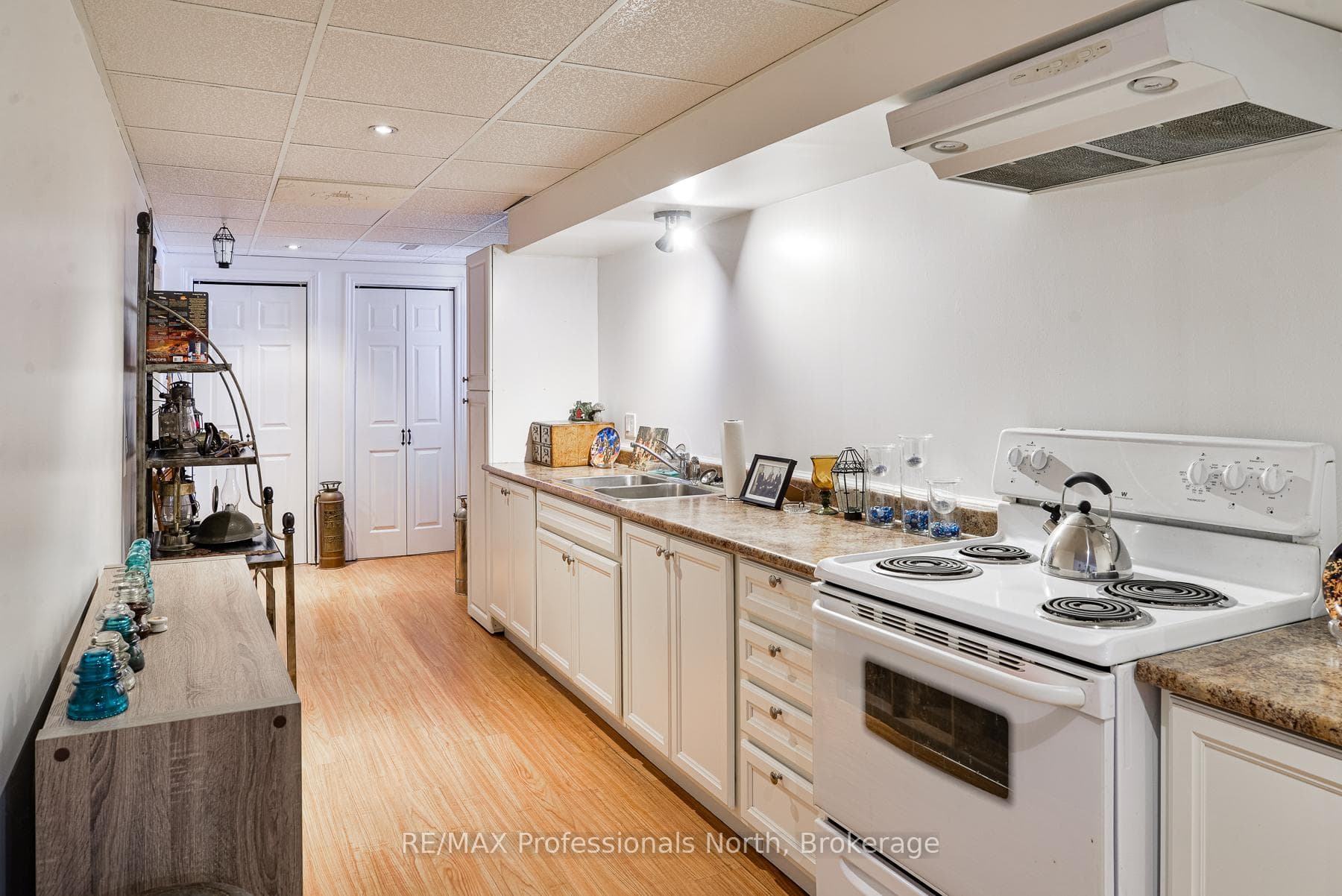 Lower level kitchen with separate entrance
