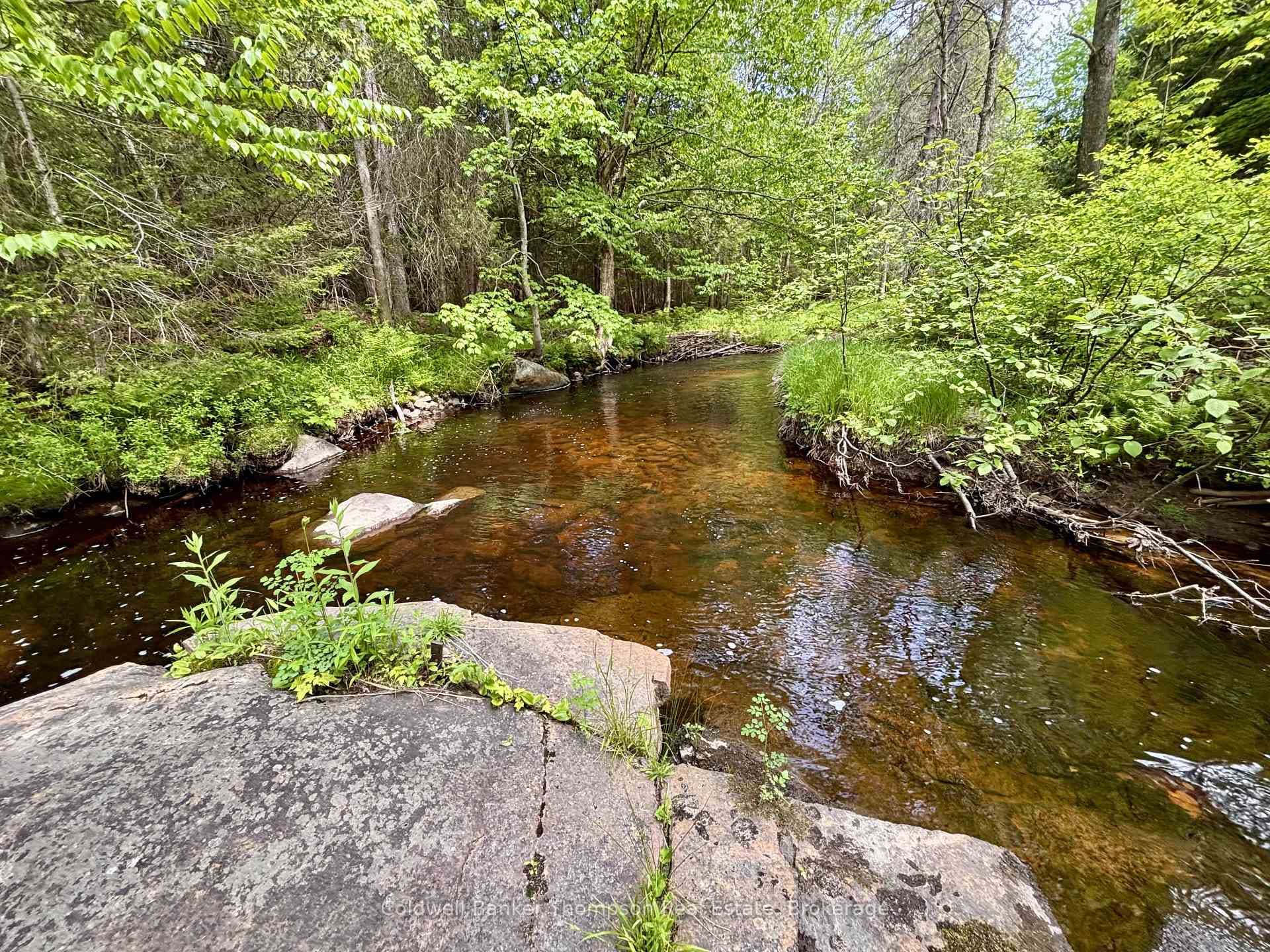 63 Forestry Road photo 9