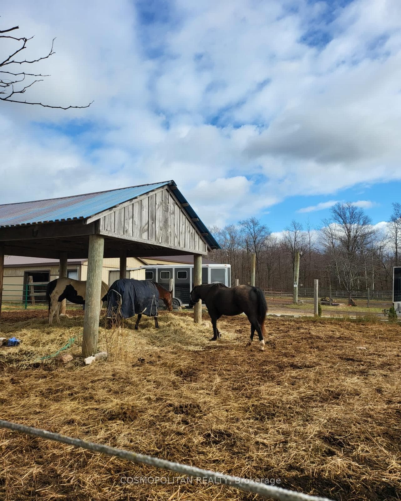 195 Woolverton Road photo 34