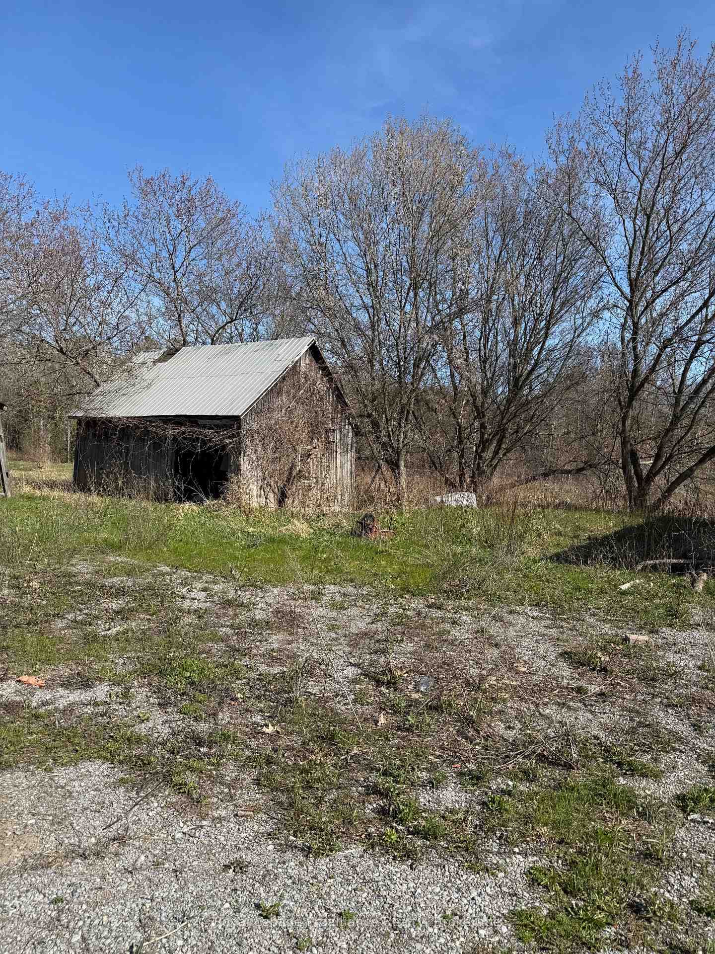 303 Brimley Road photo 14