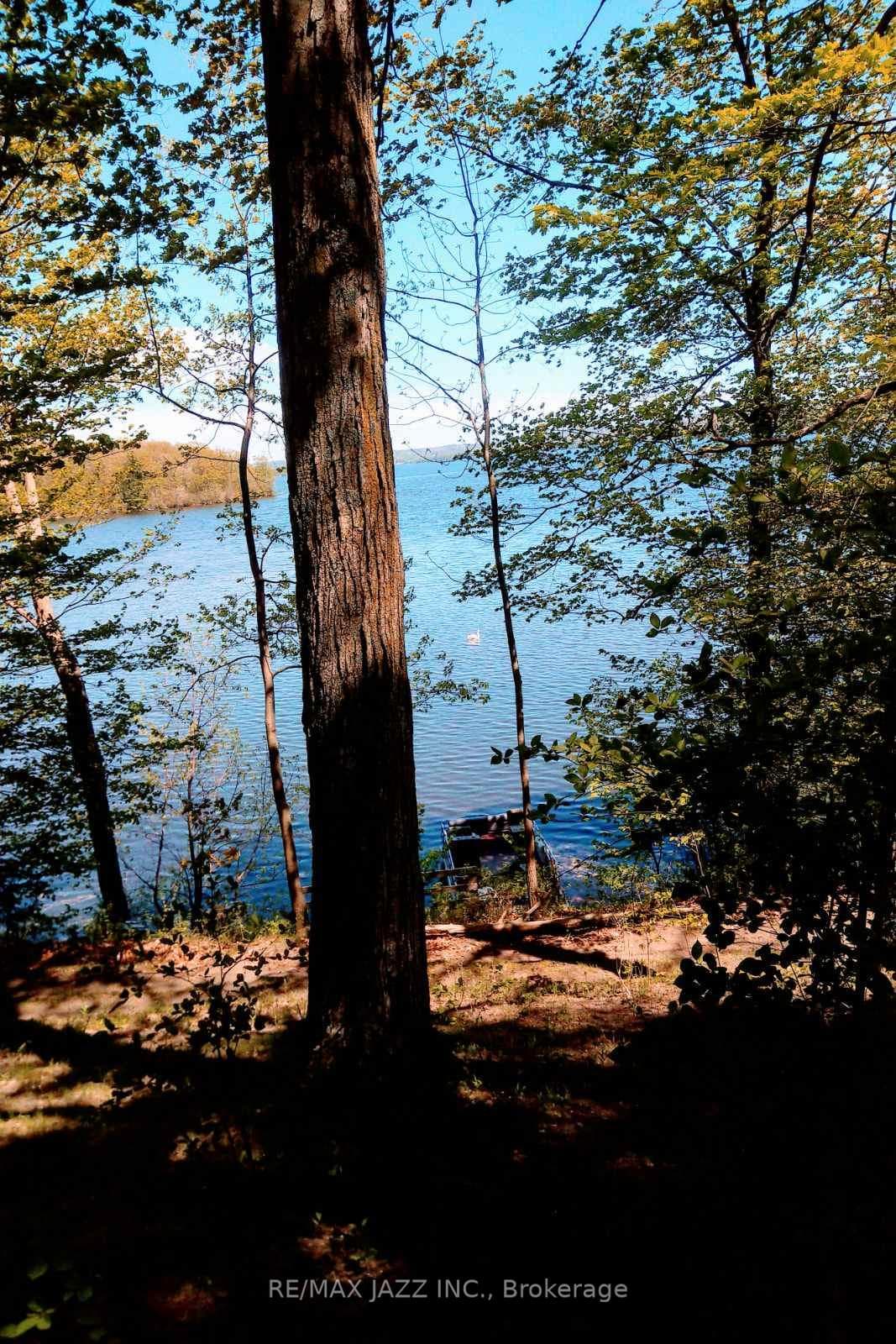 122 Cow Island N/A photo 34