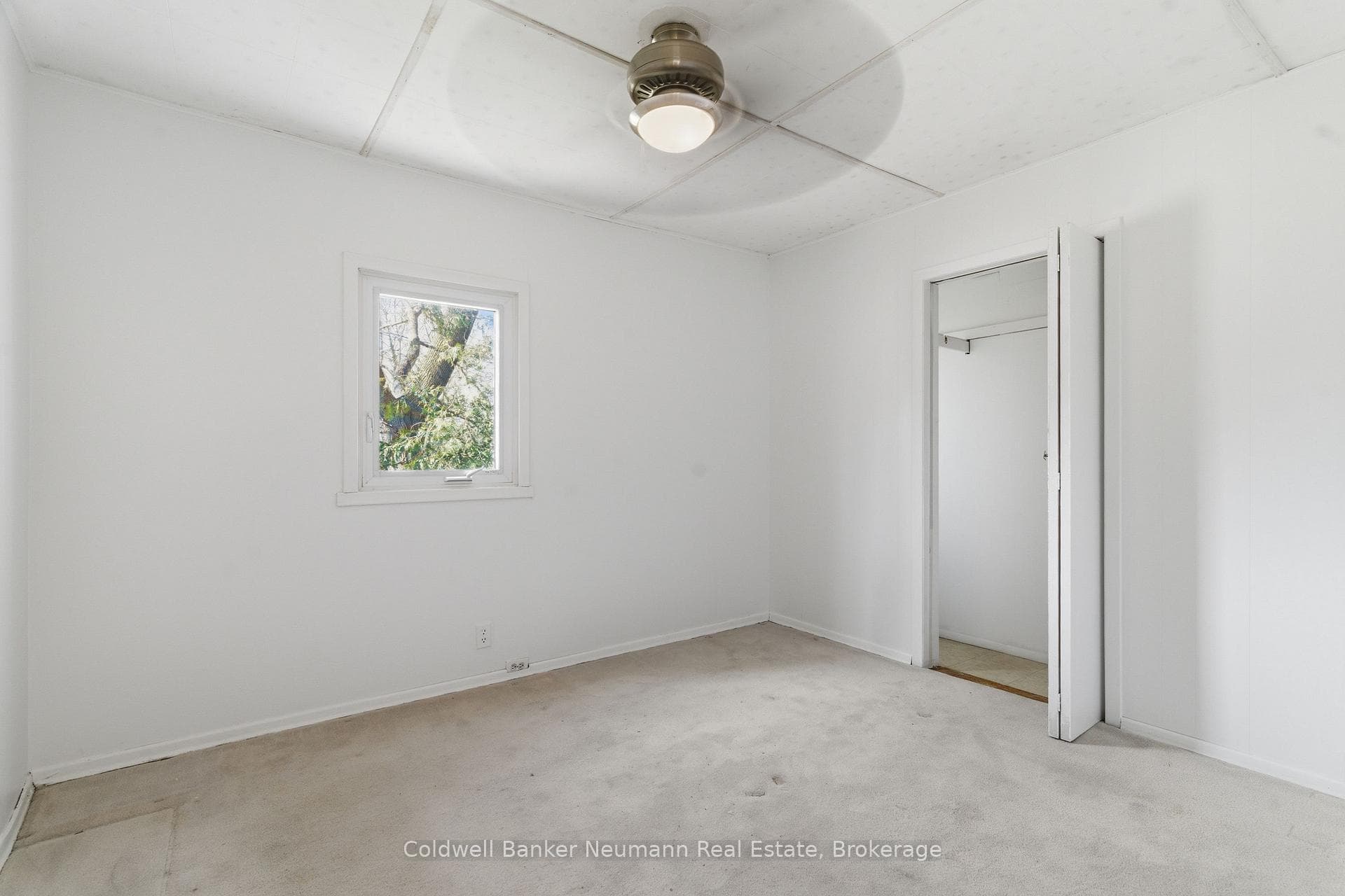 31 Dunkirk Street photo 8