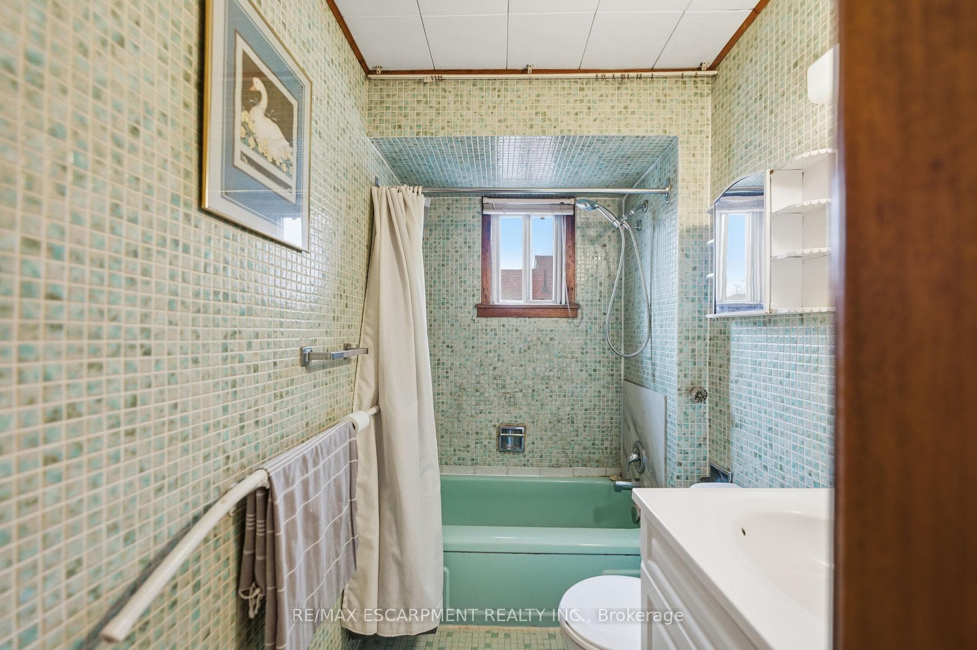 241 Robert Street photo 7