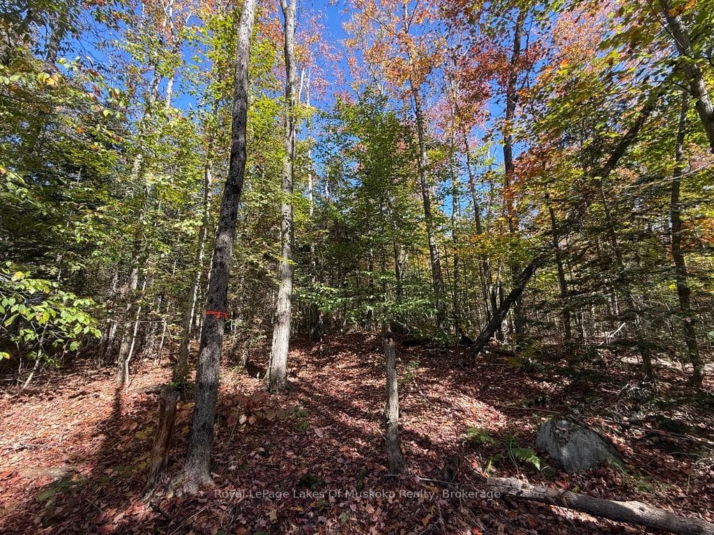 1118 Stoney Road photo 14