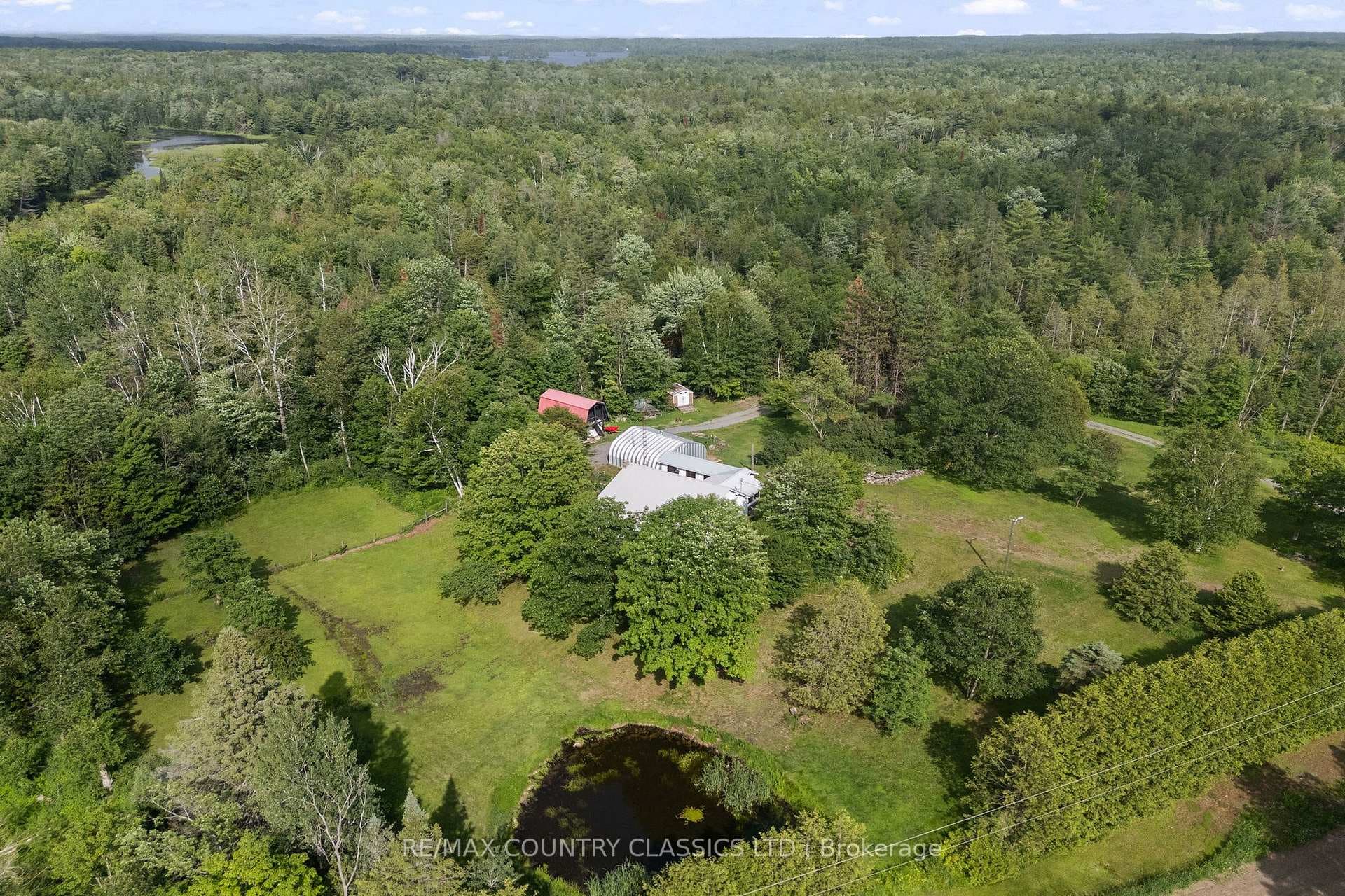 4587 Old Hastings Road photo 5