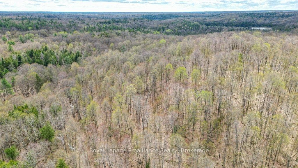 2611 River Road photo 33