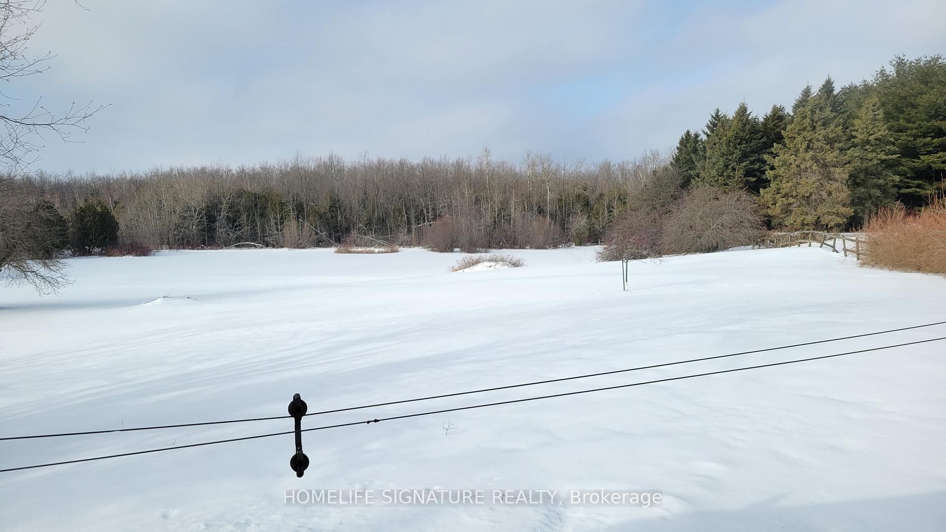5273 25 Side Road photo 41