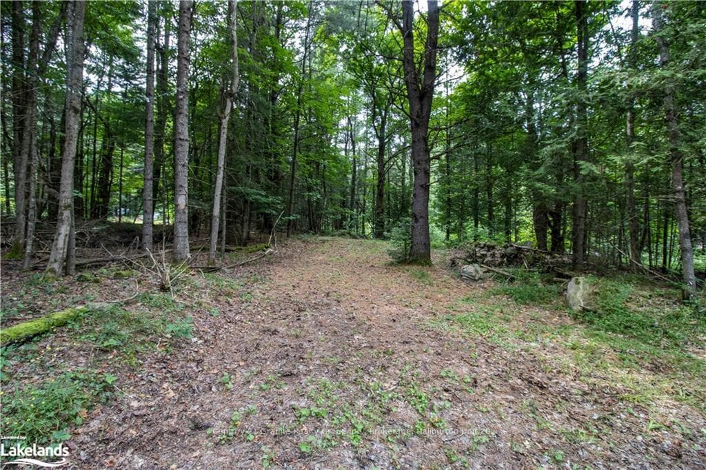 1038 NORTH Drive photo 21