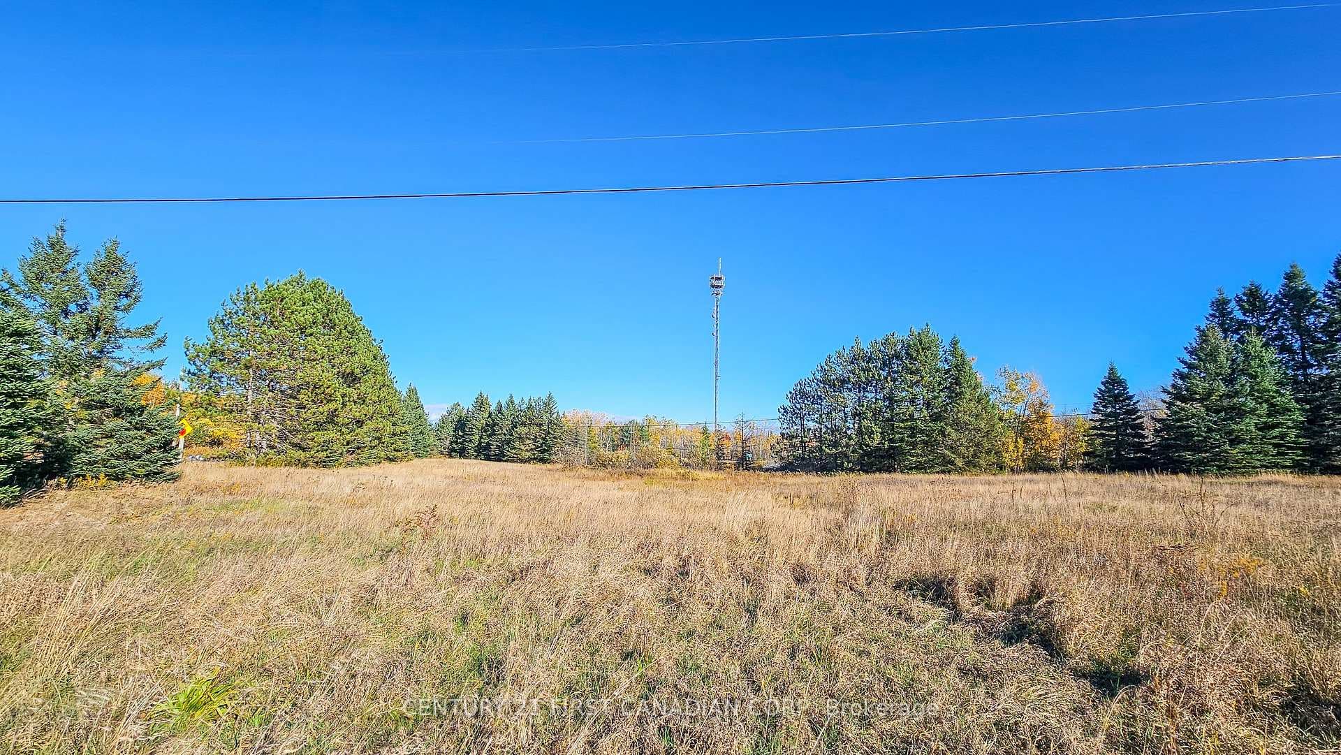 45 Tower Road photo 11