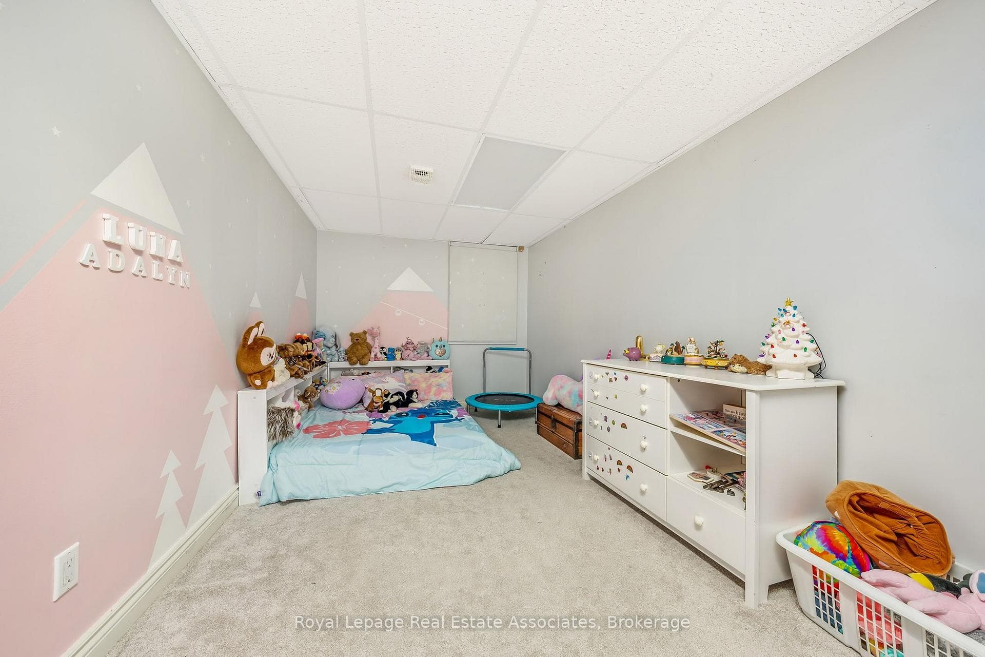 10 Kildare Drive photo 30