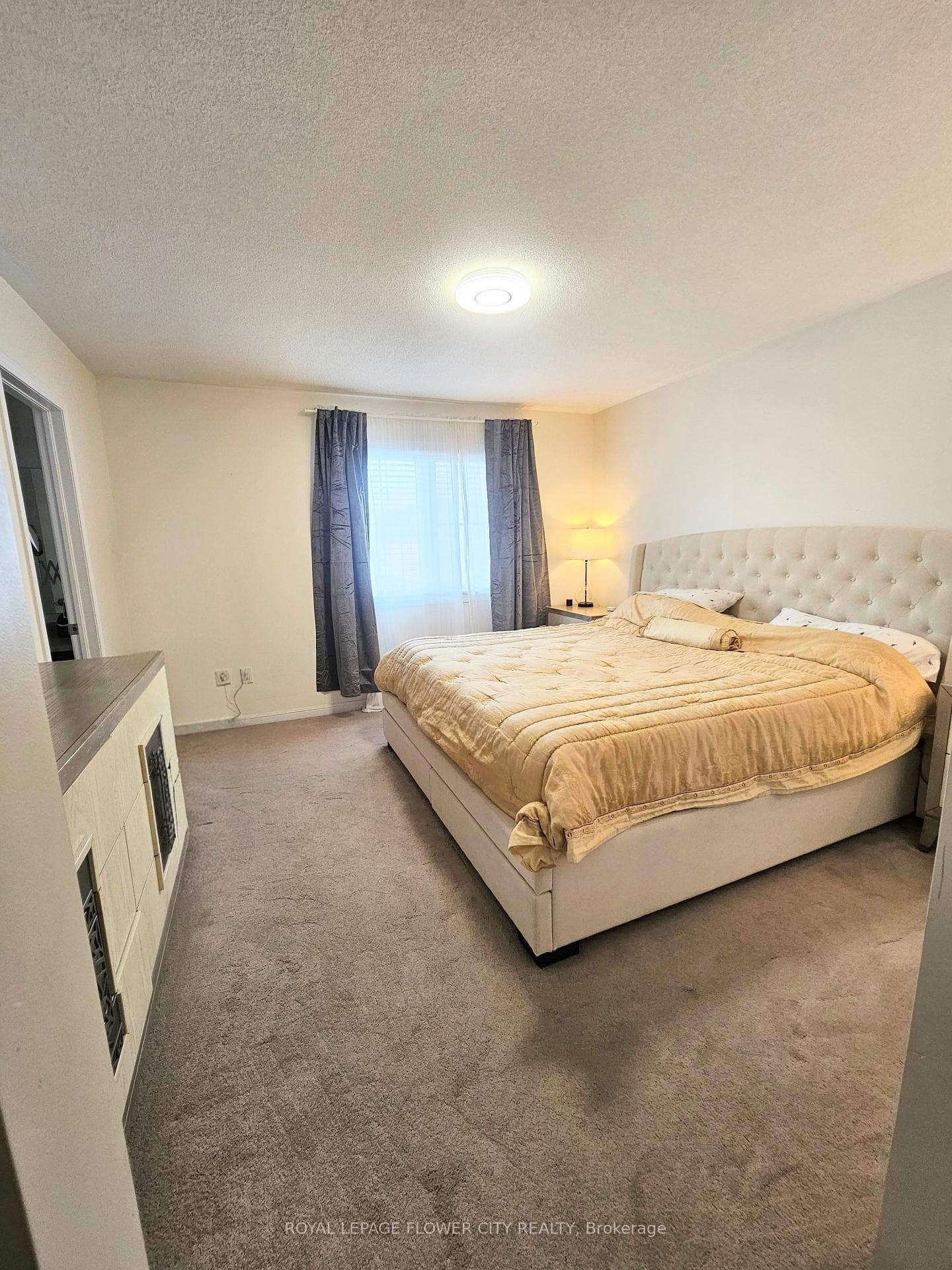 281 Gleave Terrace photo 10