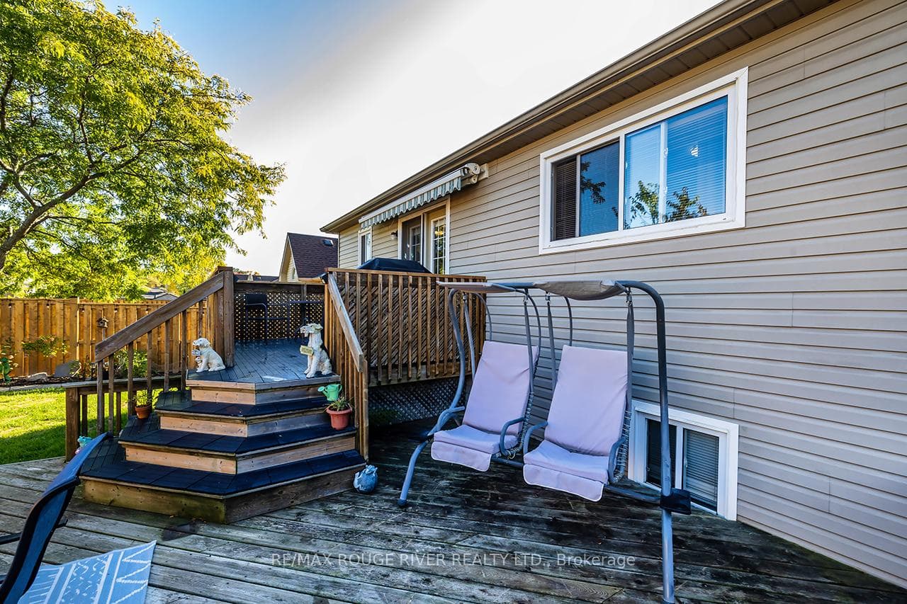 12 Jeffries Street photo 28