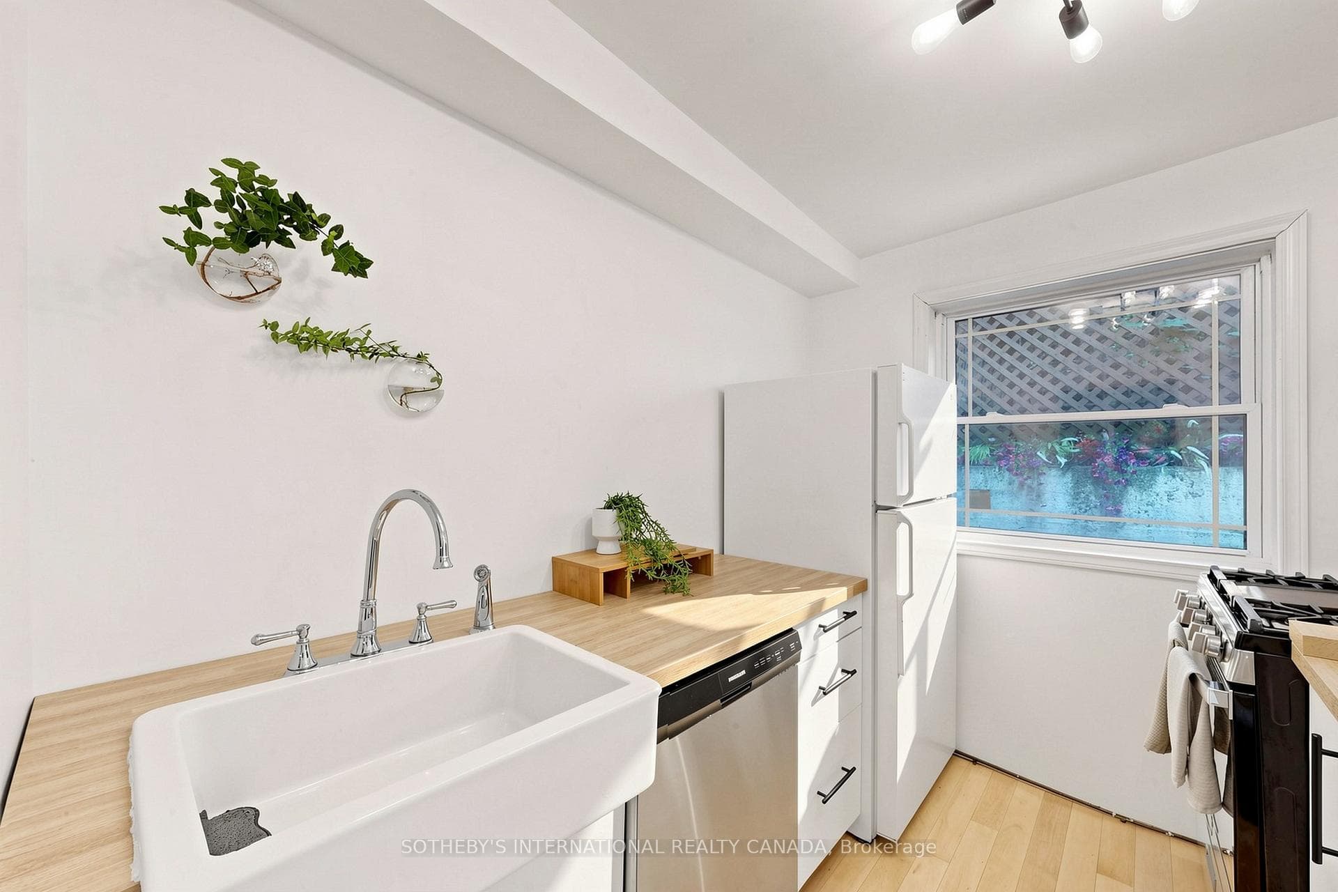 24 Patrick Street photo 11