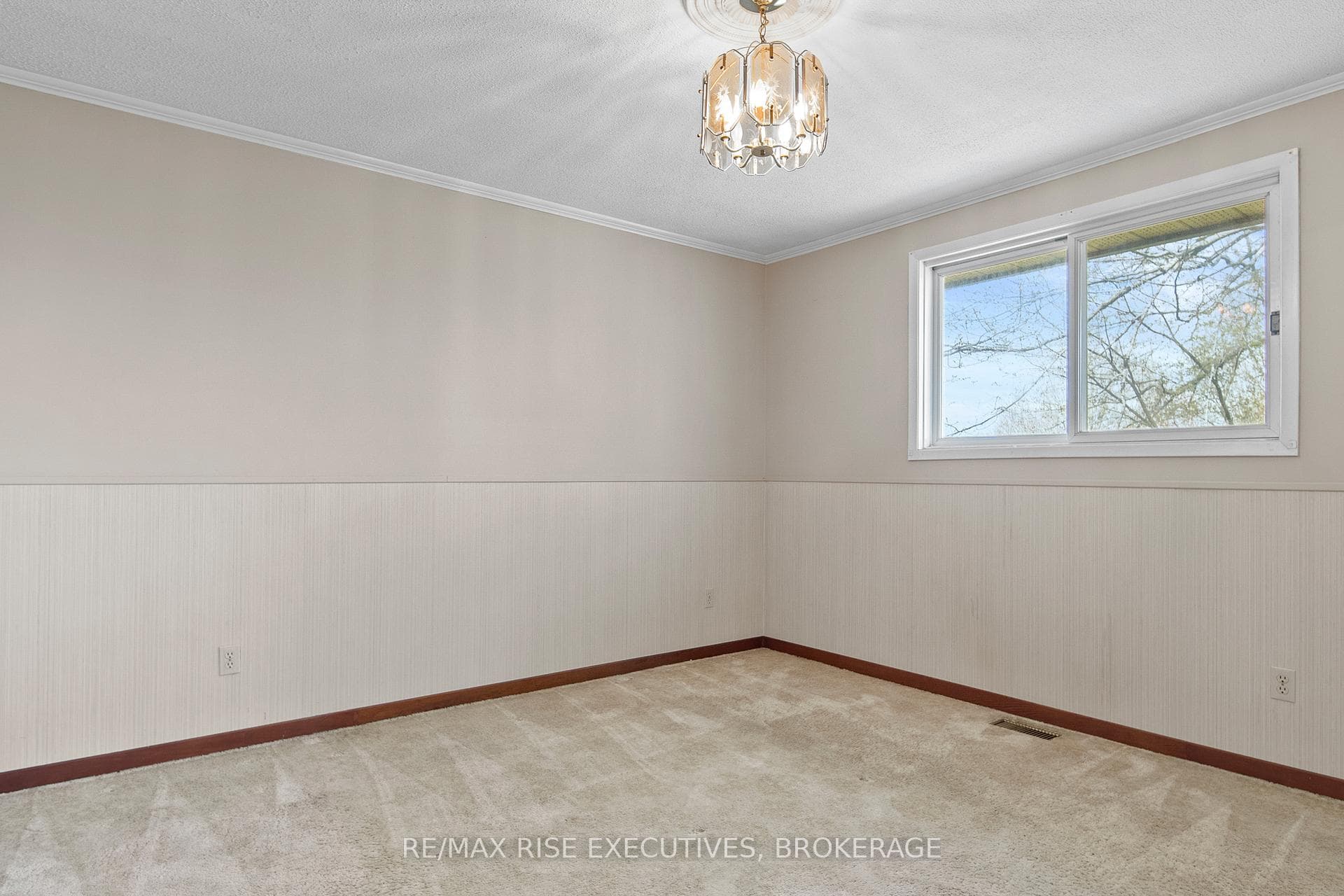 899 Safari Drive photo 27