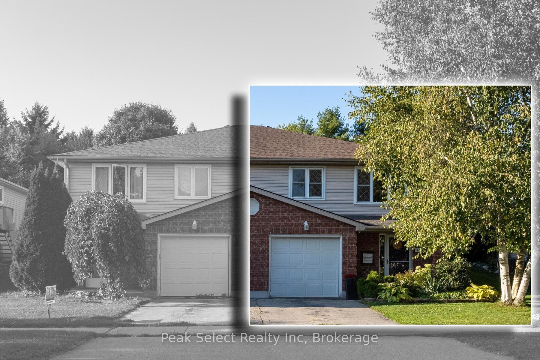 41 Southvale Road photo 6