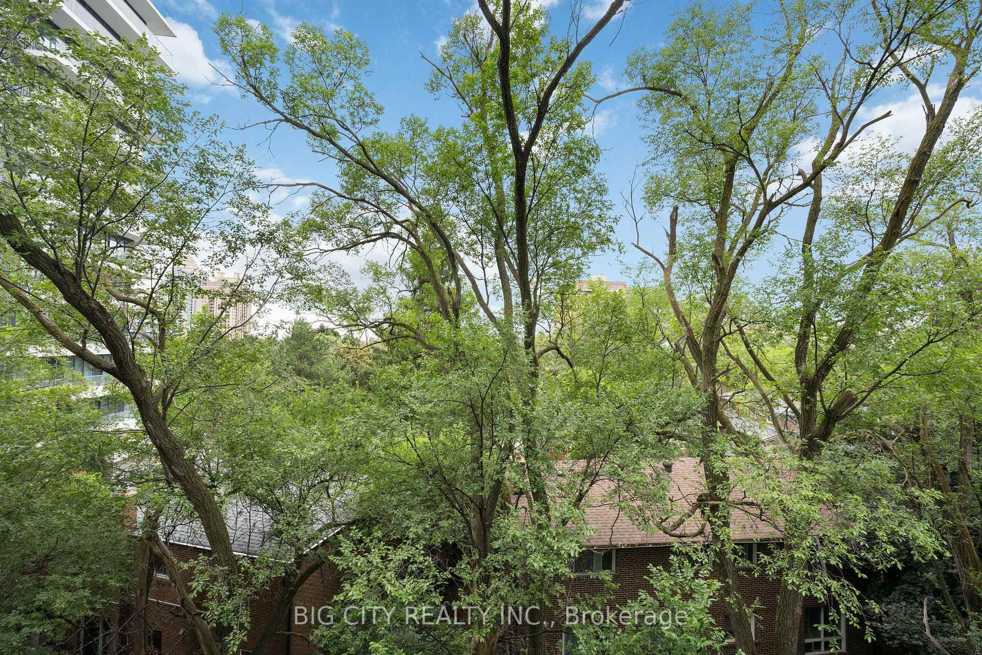 399 Spring Garden Avenue Unit 528 photo 14