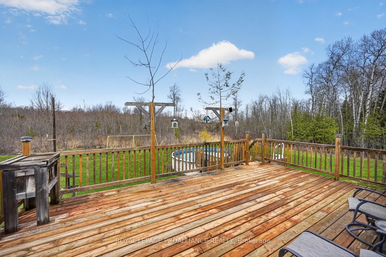 10932 Jellyby Road photo 43