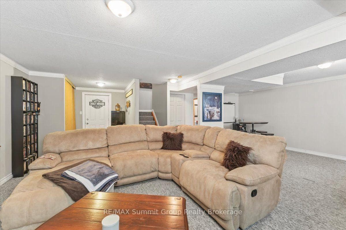 556017 Mulmur-Melancthon Townline photo 19