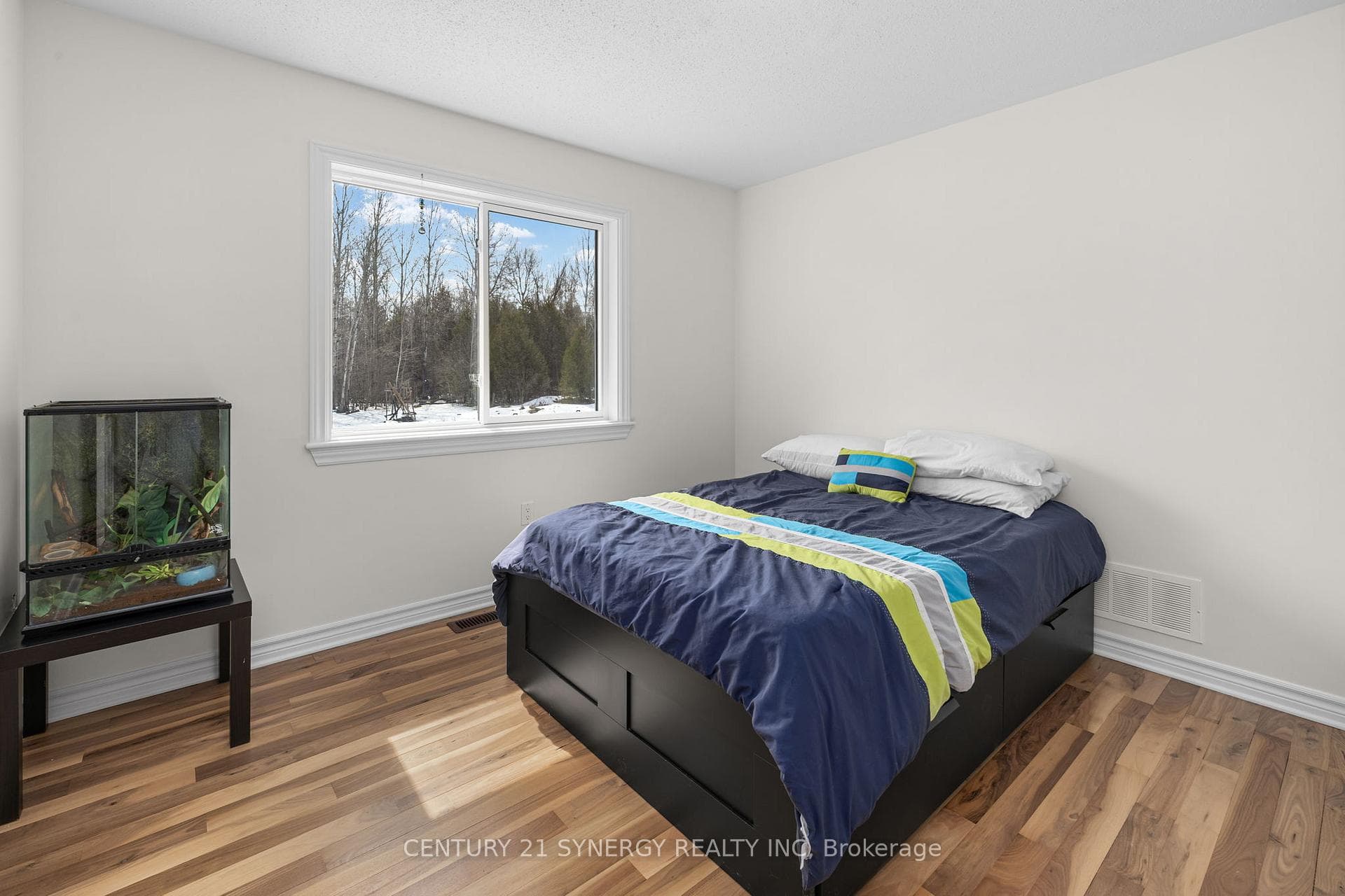 42 Empress Drive photo 28