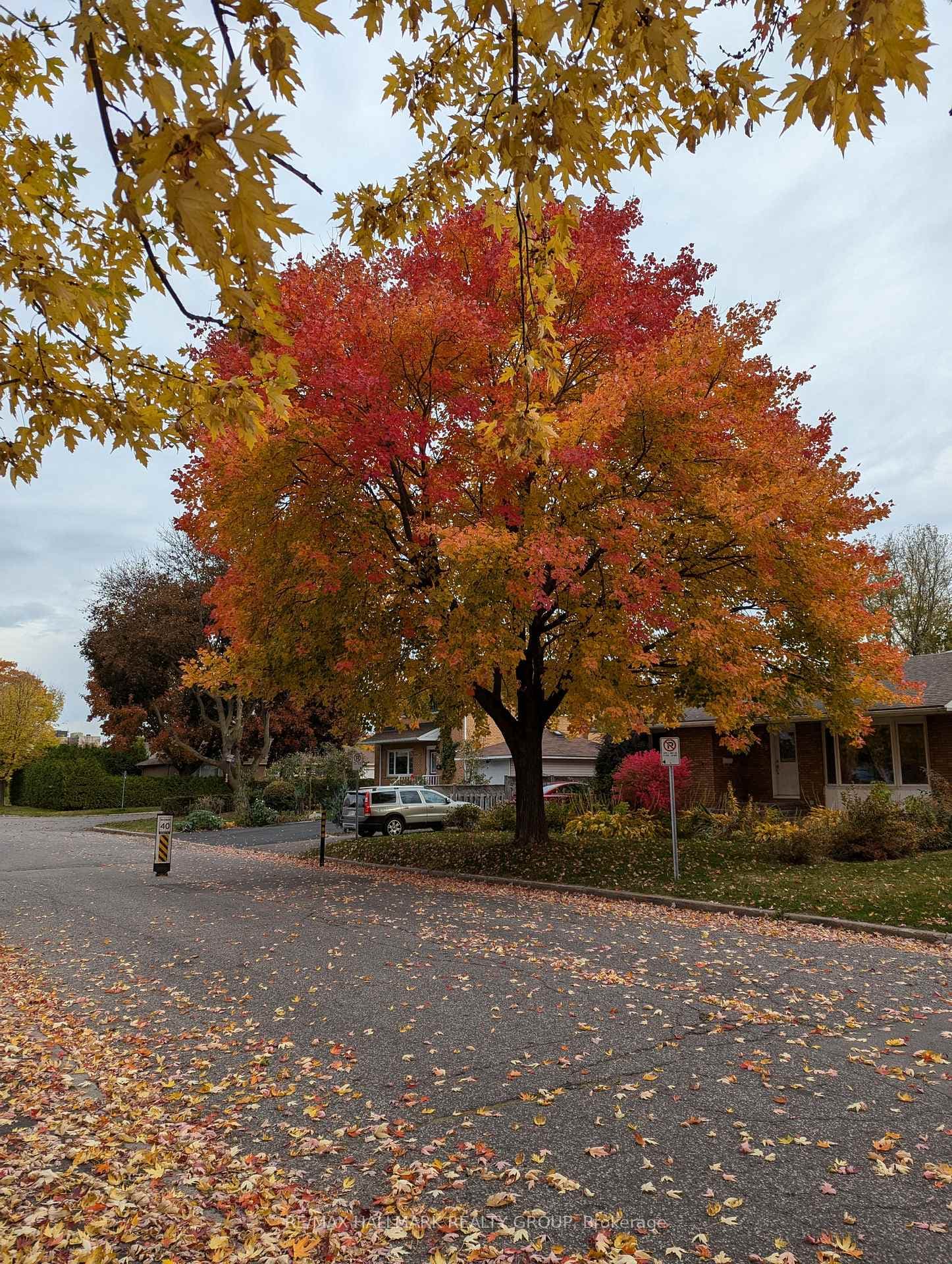 789 Claude Street photo 30