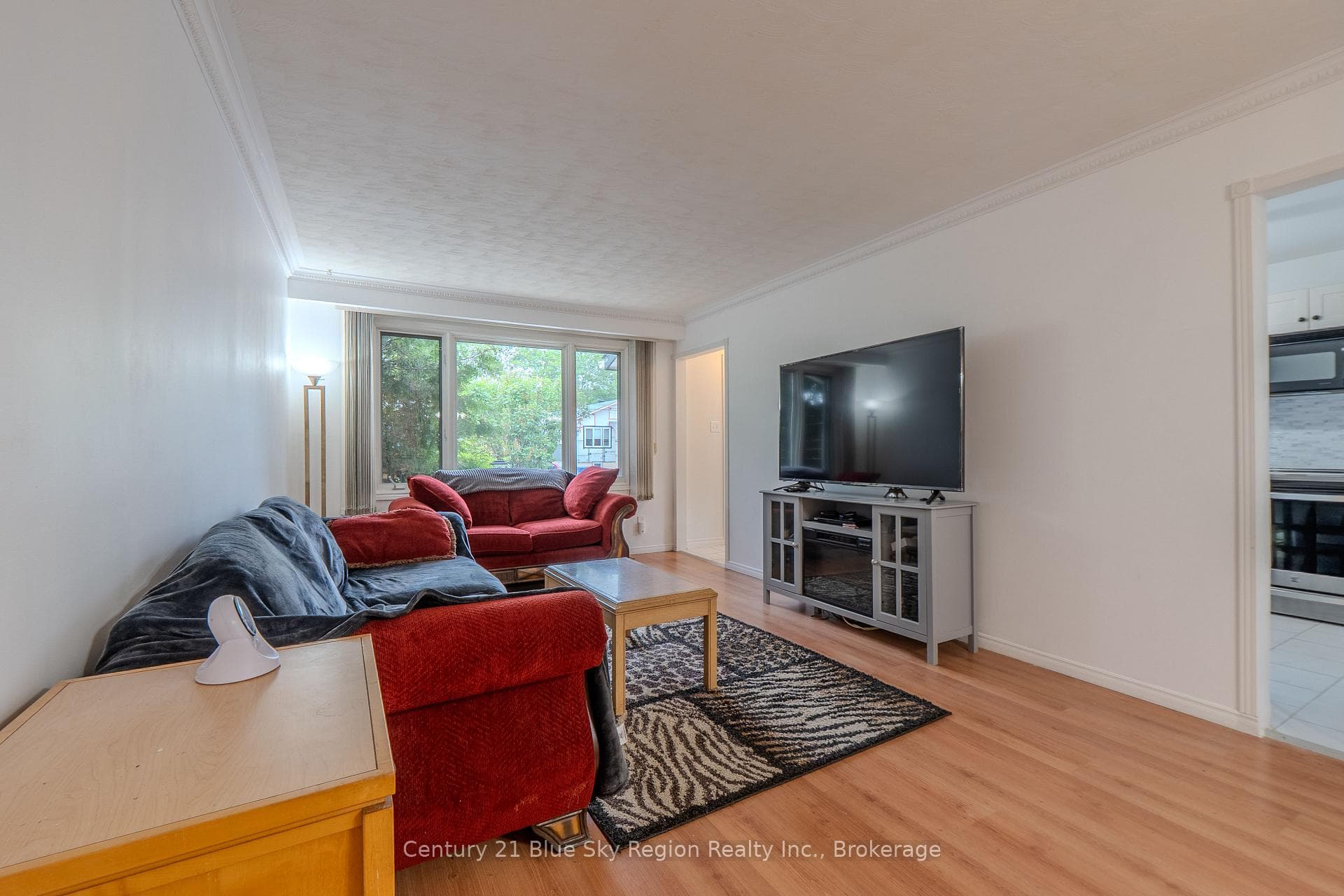 245 Michener Drive photo 23