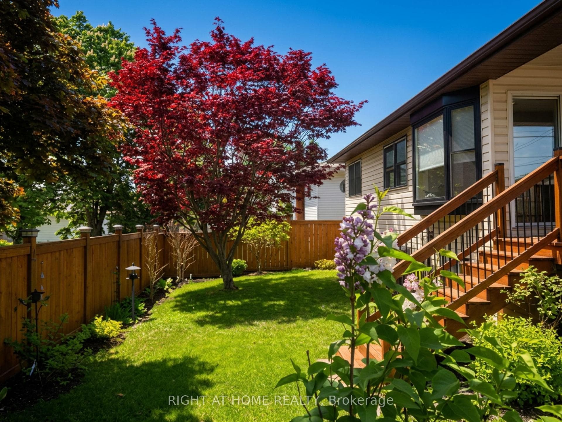 Fenced Backyard