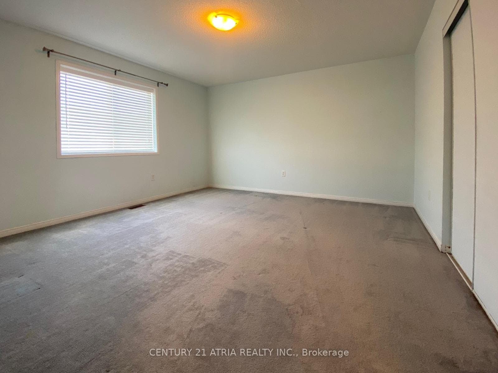8 Hoile Drive photo 15
