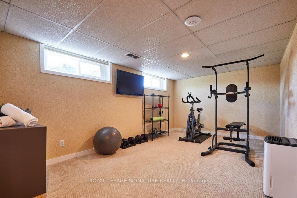 Exercise Area