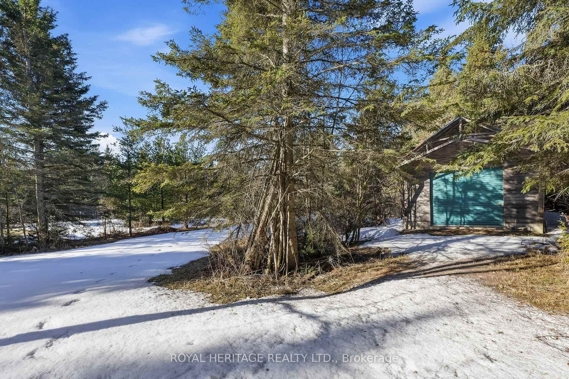 132 Hearthstone Drive photo 11