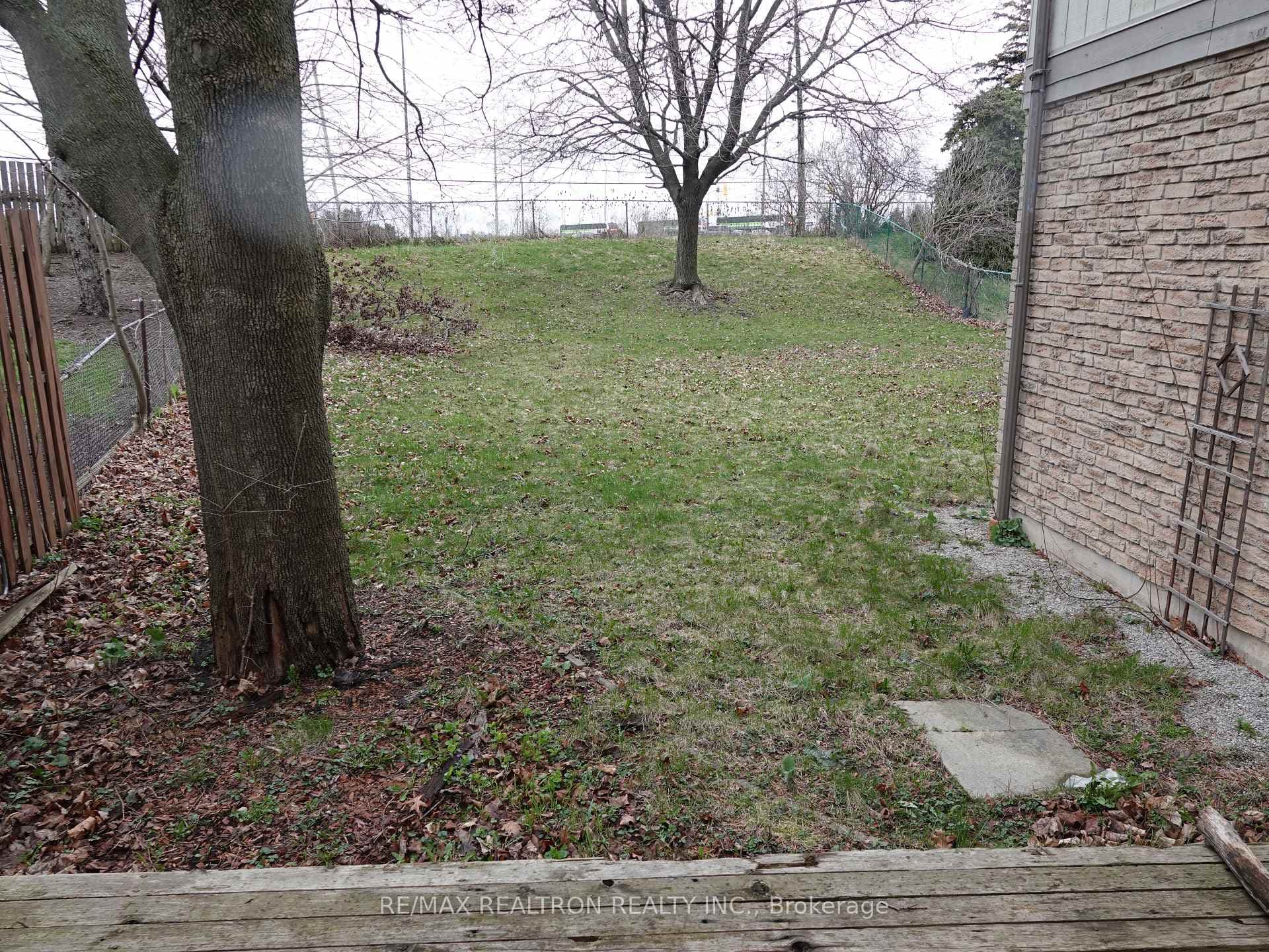 Large Backyard