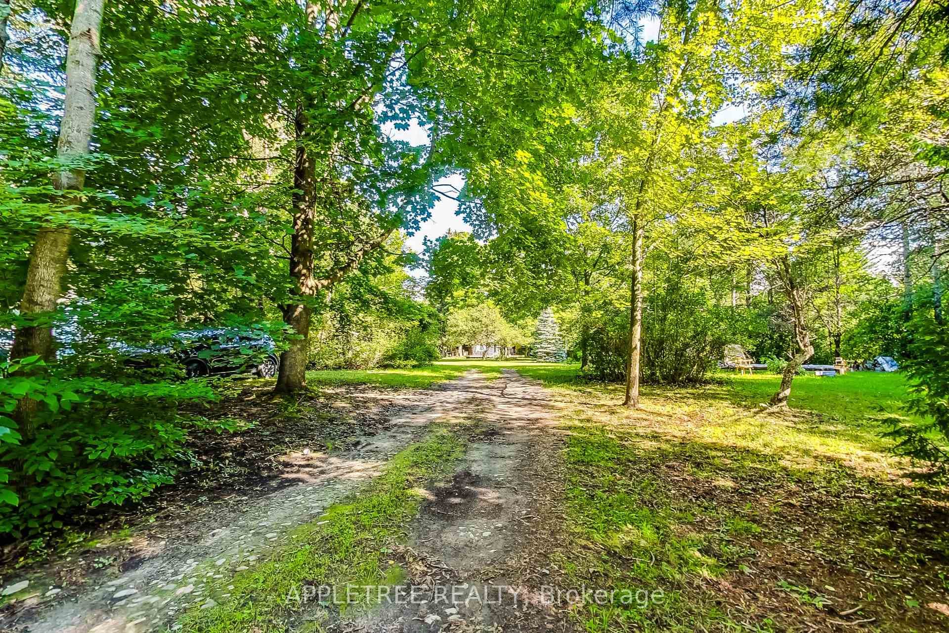 9040 River Road photo 4