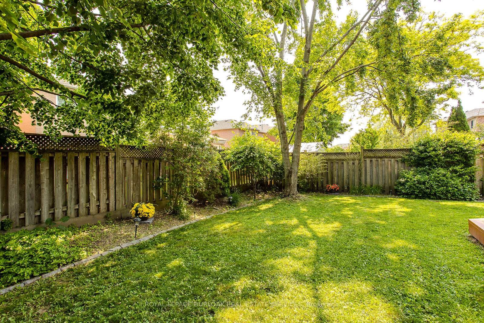 561 Phoebe Crescent photo 28