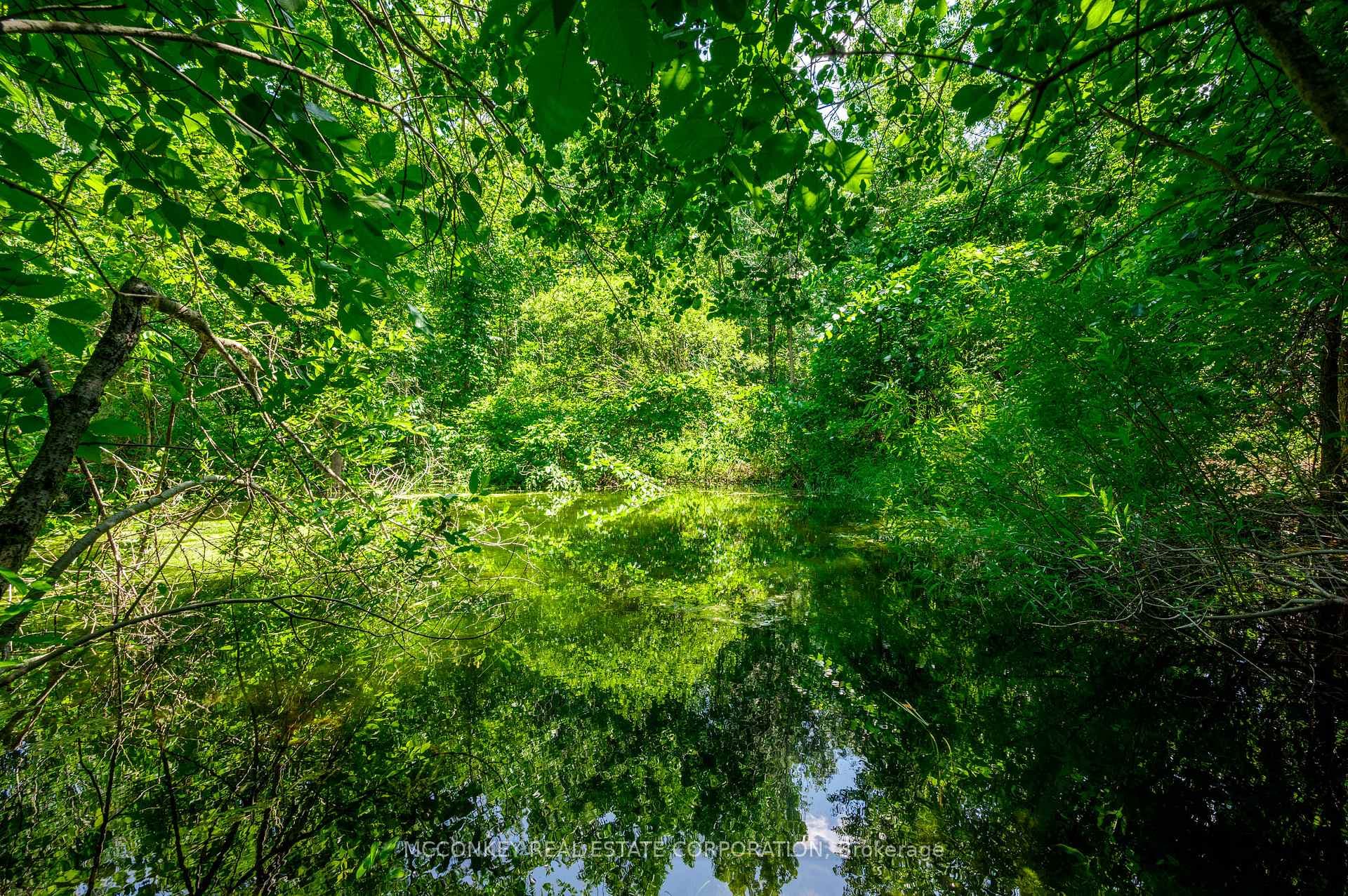 Lake Peaceful