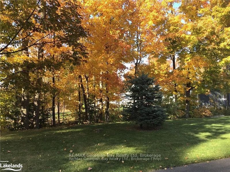 139 Trout Lane photo 39