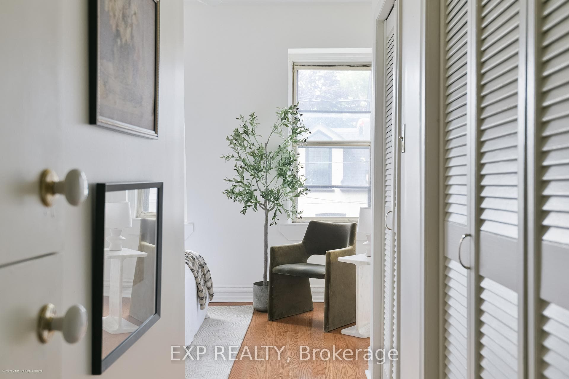 29 Belmont Street photo 29