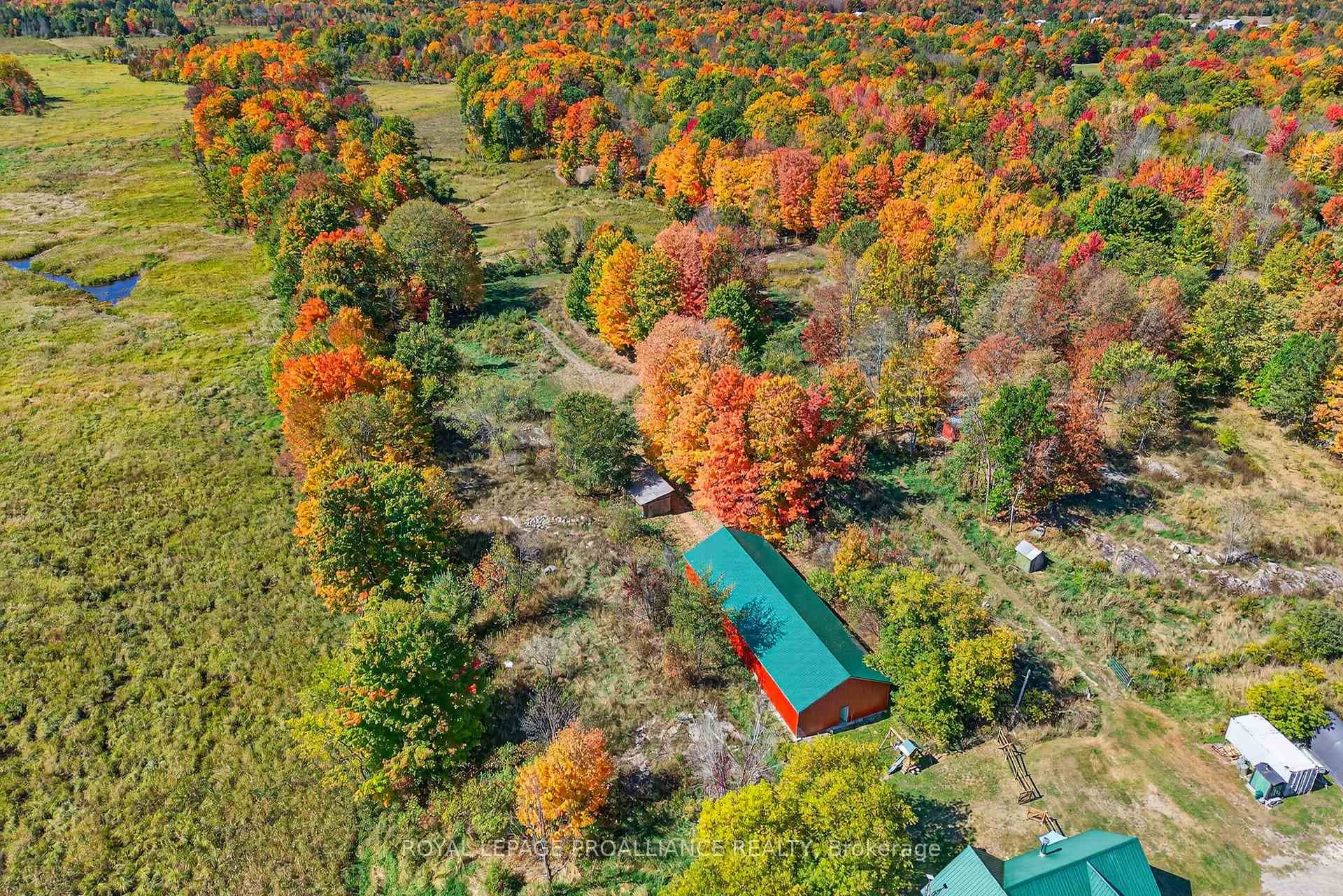 1103 Cronk Road photo 43