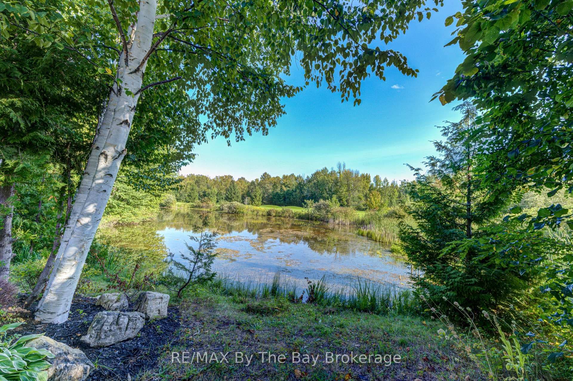 View of Pond