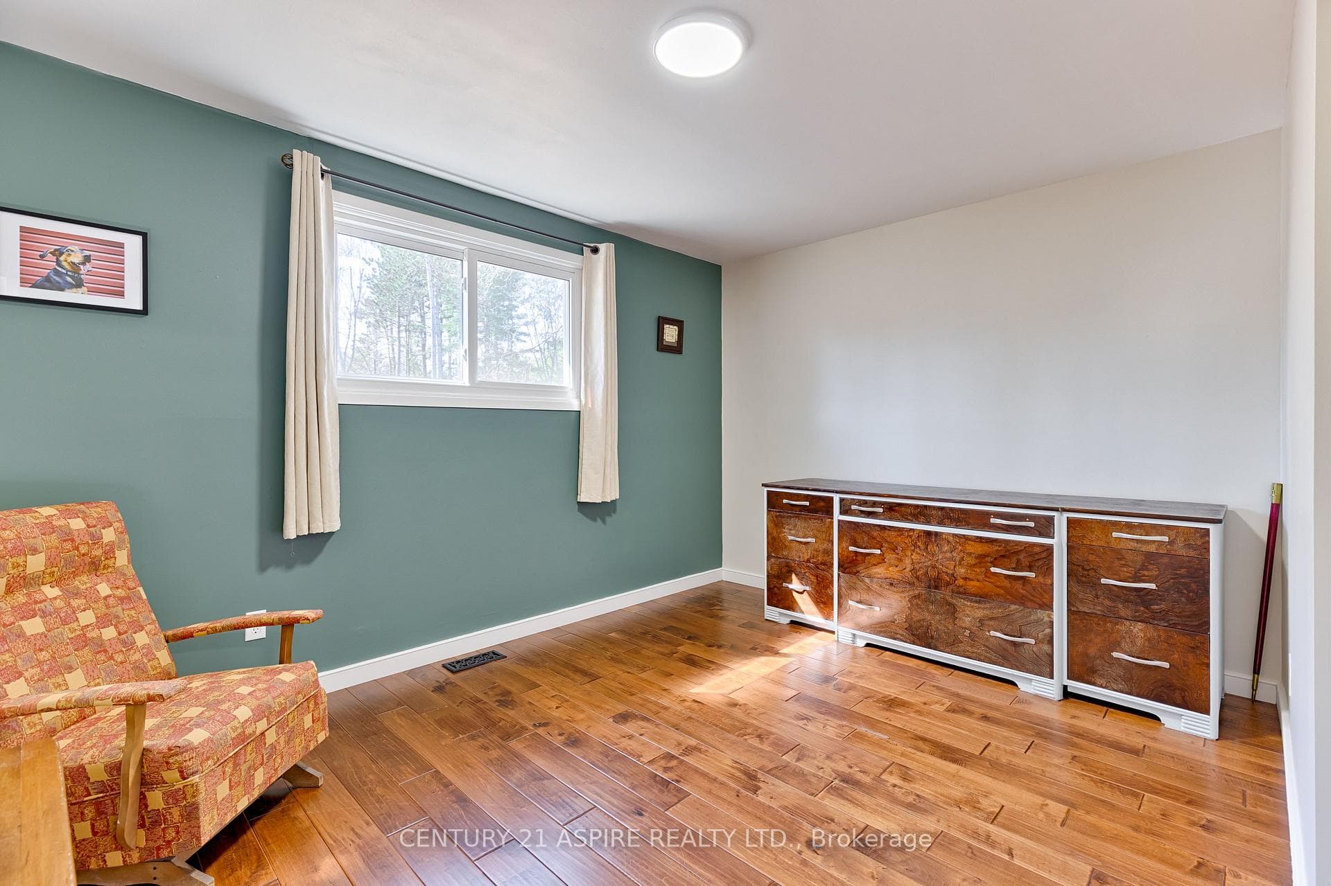 15 Roy Street photo 25
