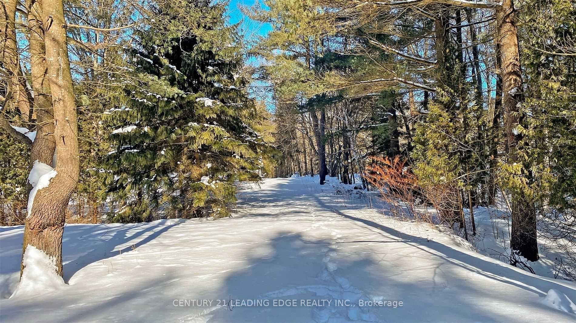 4035 Aurora Road photo 20