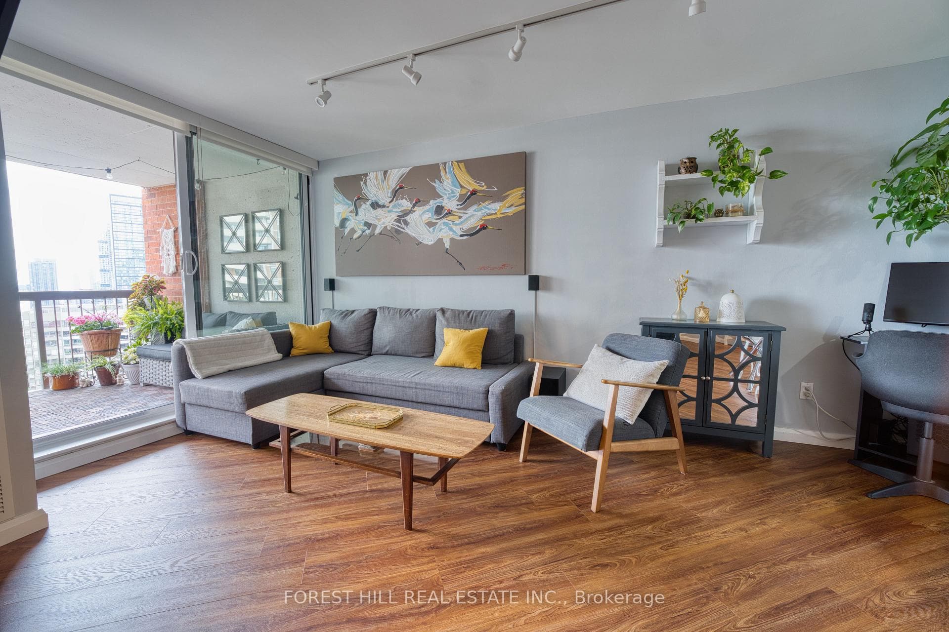 Spacious area for Large Couch + more
