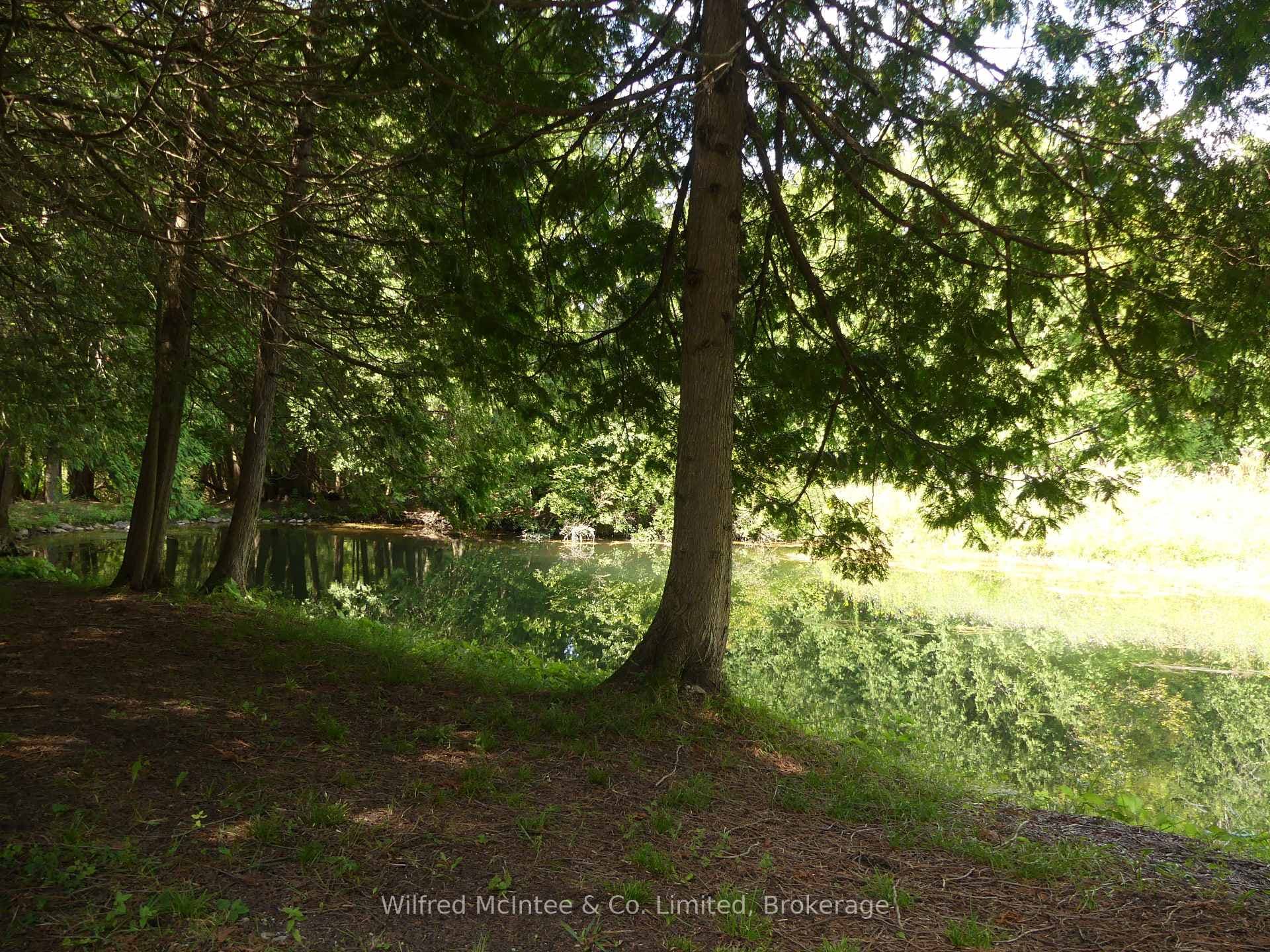 36823 BELFAST Road photo 7