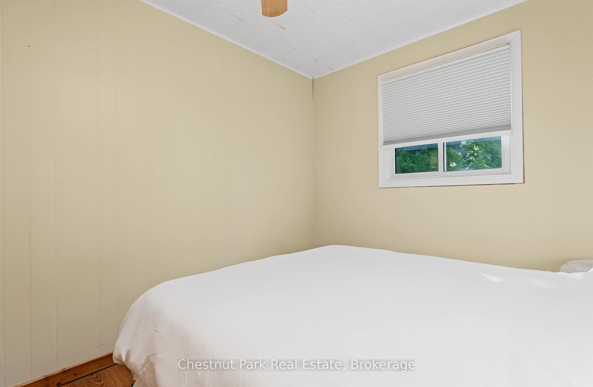 56 ZORRA Drive photo 46