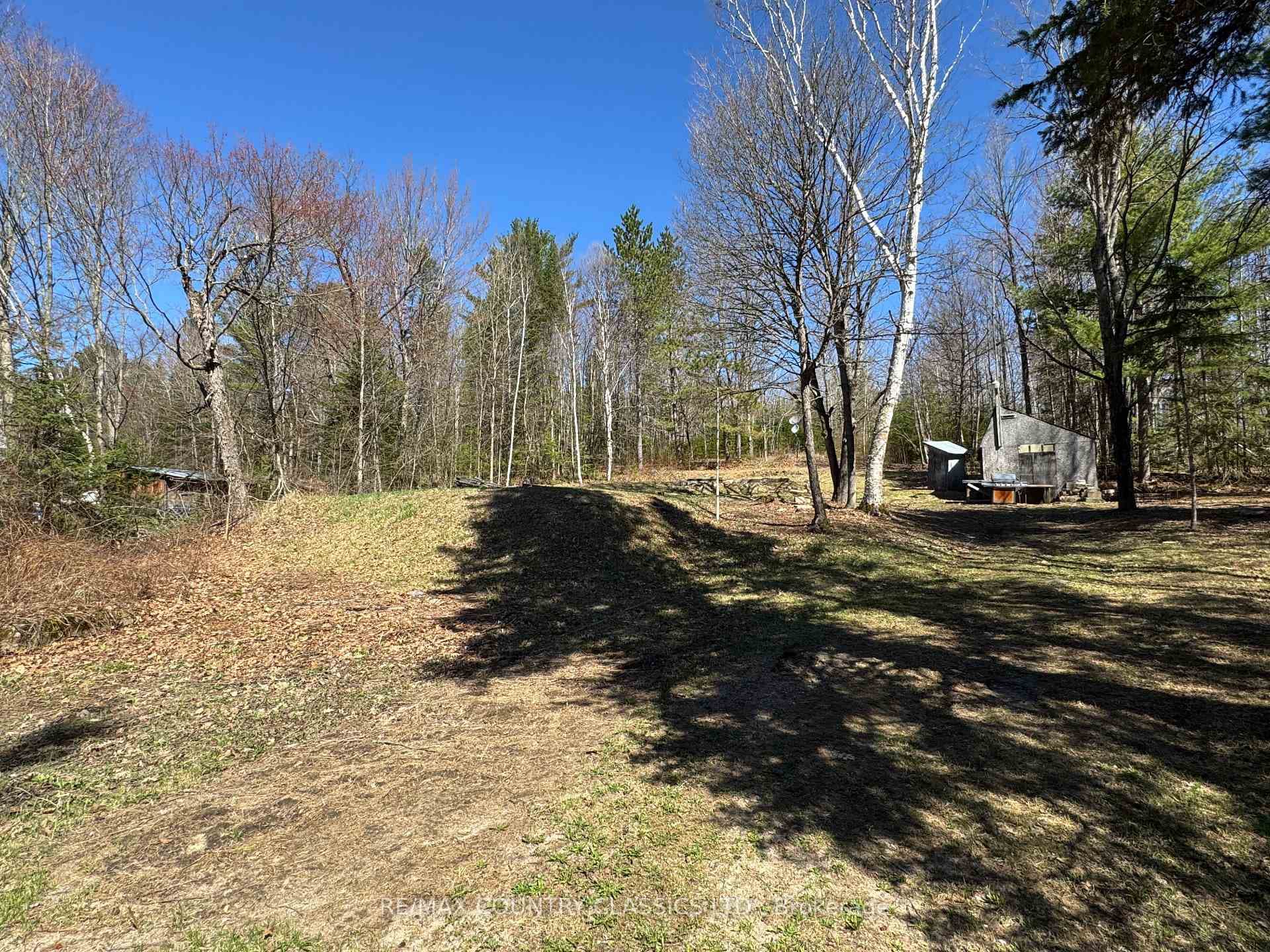 1703 Boulter Road photo 13