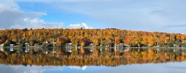 Fall colours across the bay
