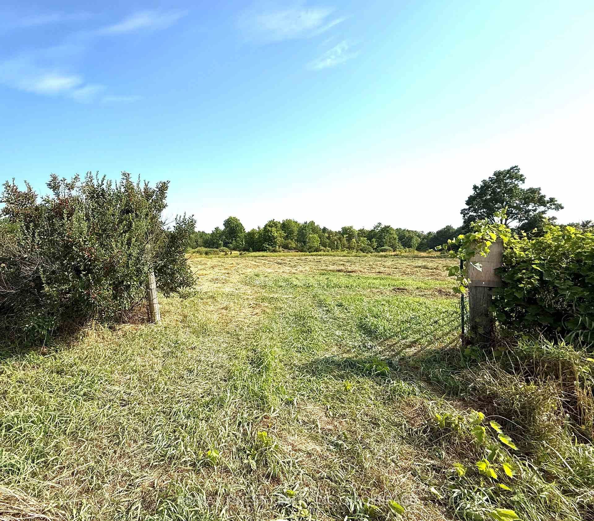 0 Pelow Road photo 3