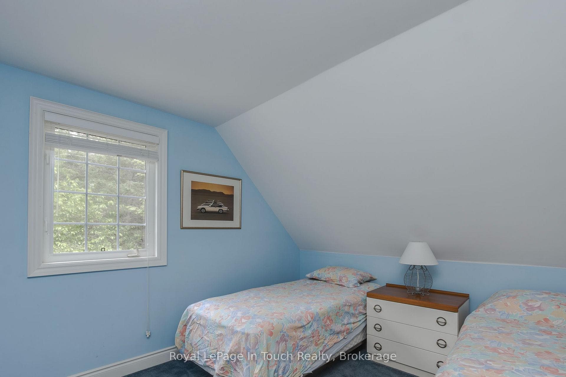 8 Woodward Drive photo 41