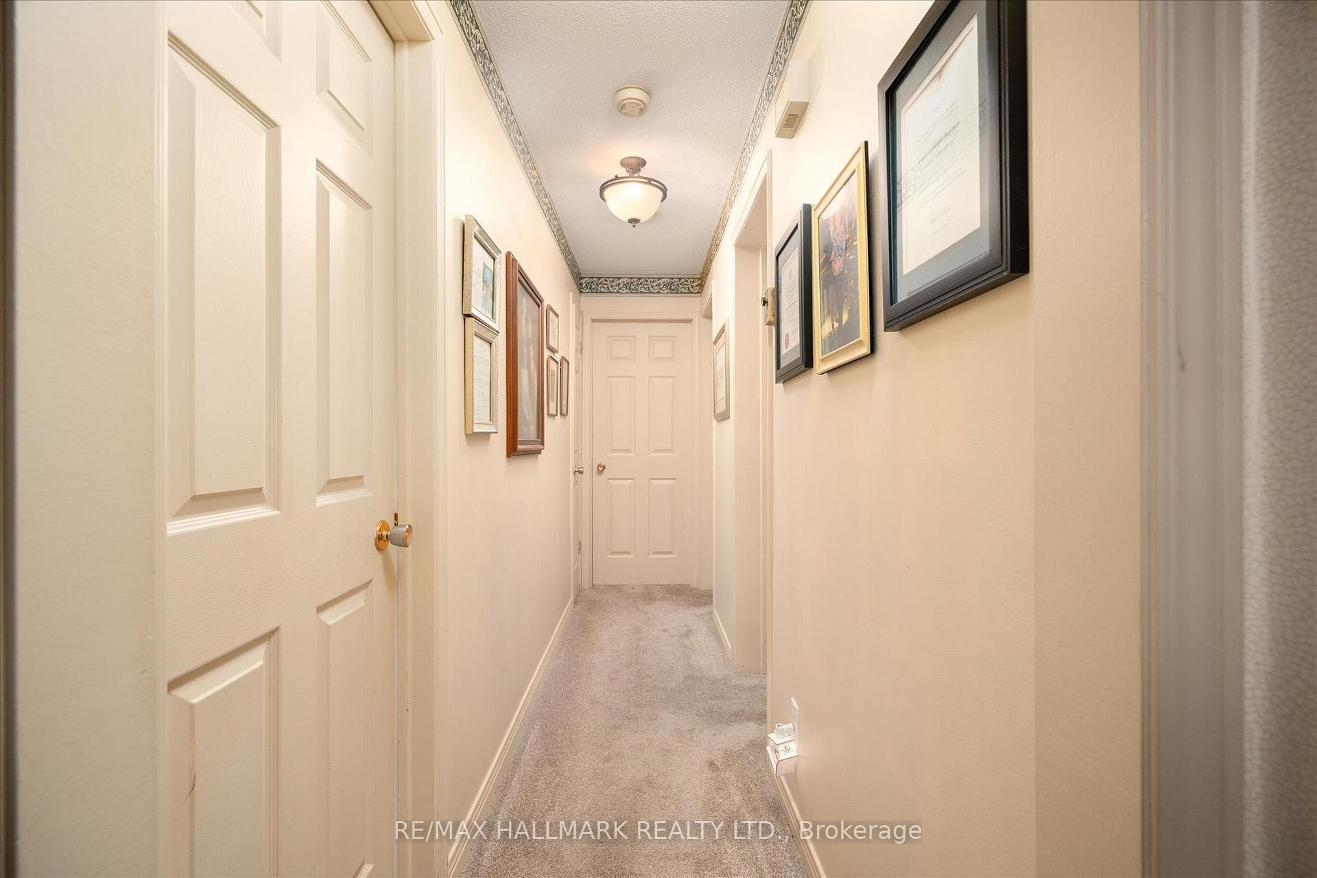 6 Seymour Street photo 13