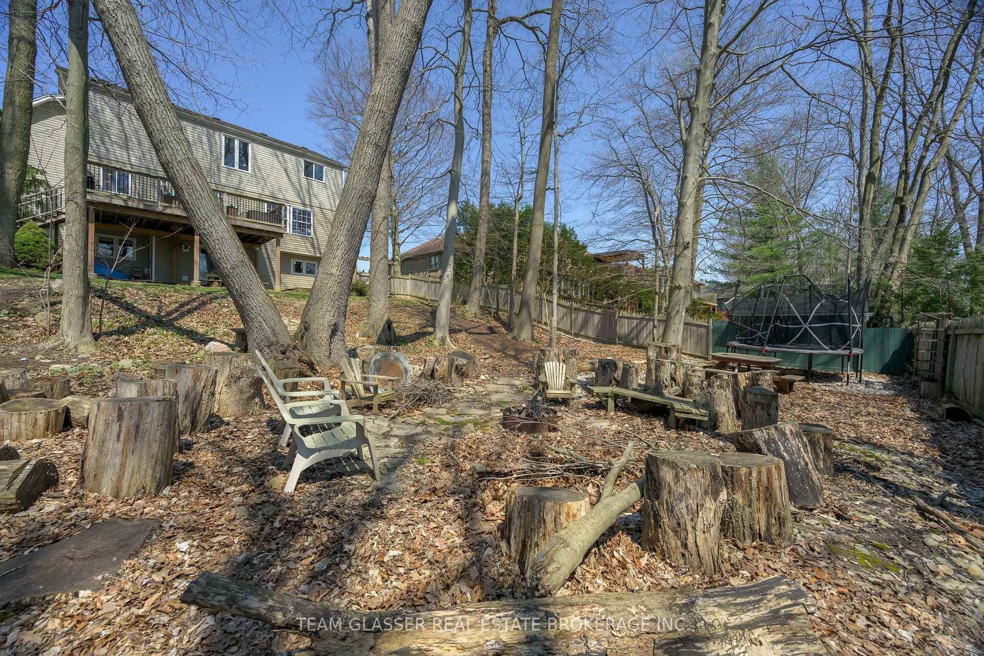 51 BIRCHCREST Drive photo 49