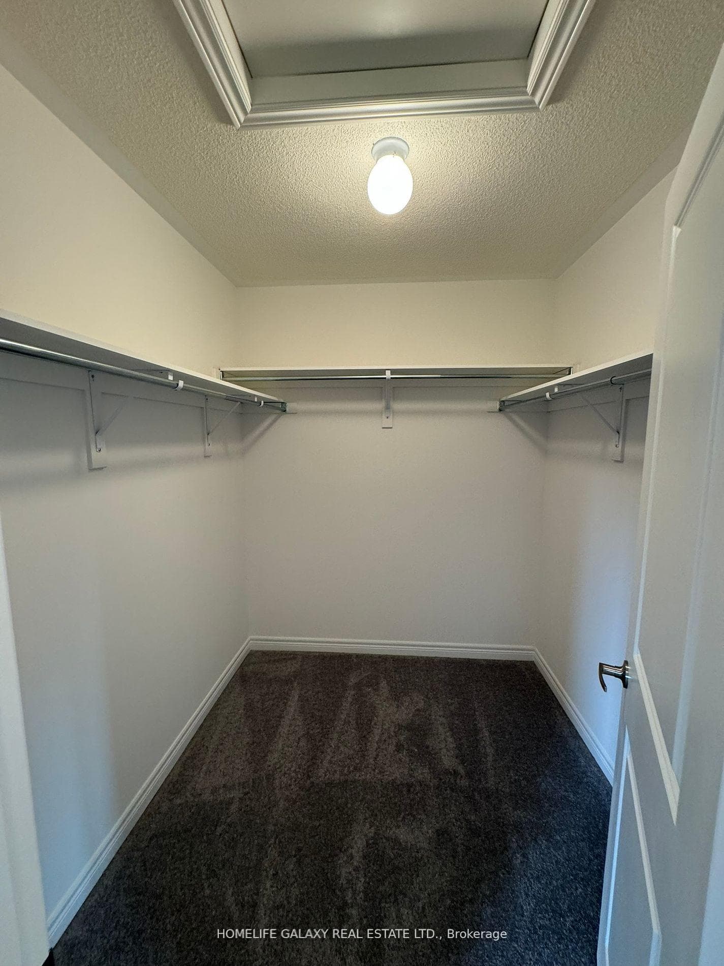 19 Wakefield Boulevard photo 22